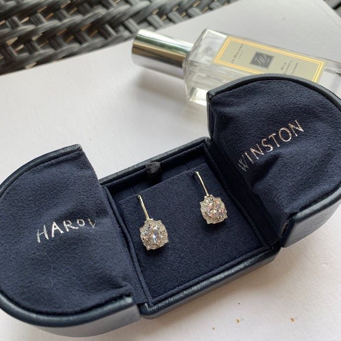 Harry Winston Earrings